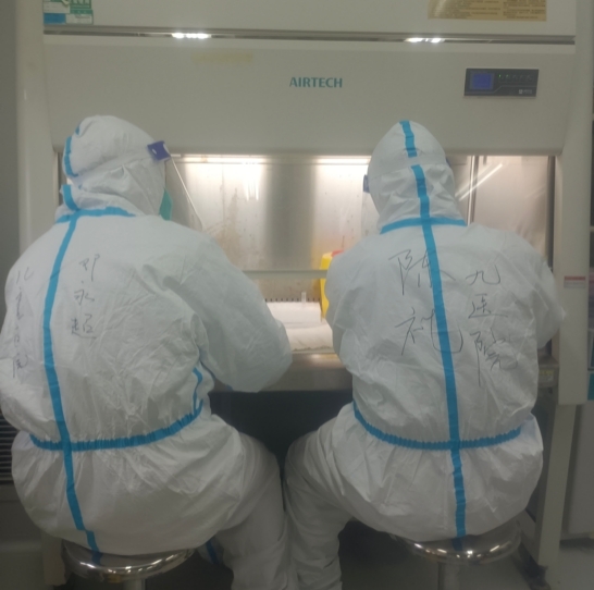 同心战疫 | 我在方舱做核酸